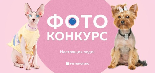 Фотоконкурс Petshop.ru: «Фотоконкурс истинных леди»
