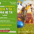 Фотоконкурс Чистые лапки «Без кота, ФИФА не та»