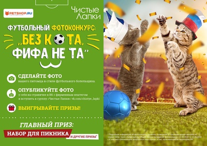 Фотоконкурс Чистые лапки «Без кота, ФИФА не та»