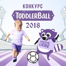 Конкурс  «Meine Liebe» (Майне Либе) «Тoddlerball 2018»