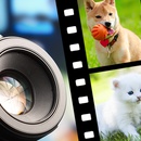 Конкурс Bosch Pet: «Стань фотографом-анималистом!"»