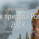 Дикая природа России 2018
