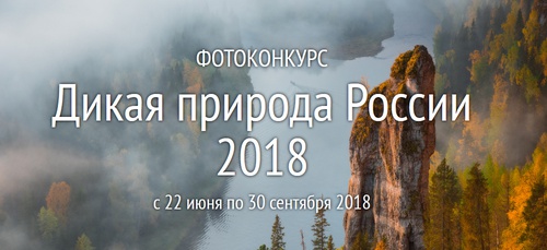 Дикая природа России 2018