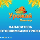 Фотоконкурс  «Mail.ru» (Мейл.ру) «Урожай Мини-Игр»