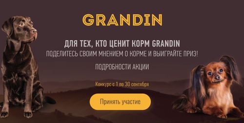 Конкурс Grandin: «Конкурс отзывов Grandin»
