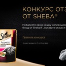 Конкурс  «Sheba» (Шеба) «Поделись своими впечатлениями о корме Sheba»