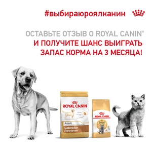 Конкурс Royal Canin: «#выбираюроялканин»