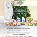 Фотоконкурс  «Gourmet» (Гурме) «Новогоднее наслаждение для кота»
