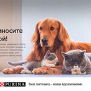 Акция  «Purina» (Пурина) «Приносите тепло домой»