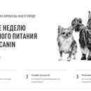 Акция Royal Canin: «Неделя бесплатного питания. Породные рационы 2019»
