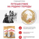 Акция Royal Canin и Четыре лапы: «Путешествие на родину породы»