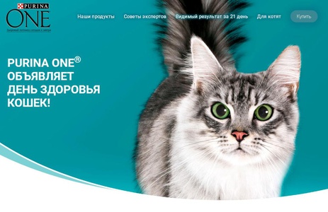 Акция  «Purina One» (Пурина Ван) «Nestle Purina One День здоровья кошек в сети «Ашан»