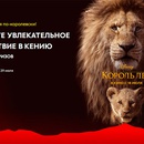 Акция  «Пятерочка» (www.pyaterochka.ru) «Король Лев»