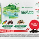Акция  «Lipton Ice Tea» (Липтон Айс Ти) «Открой вкус Японии» в торговой сети «Магнолия»