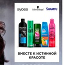 Акция ТС "Семь Дней" и Schwarzkopf: «Выходные мечты»