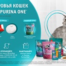 Акция  «Purina One» (Пурина Ван) «День здоровья кошек с кормом Purina One»