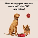 Конкурс отзывов на Беру.ру: «Purina ONE Dog Ratings & Reviews – Beru.ru»