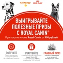 Акция Royal Canin и Ле’Муррр: «Полезные призы от ROYAL CANIN»