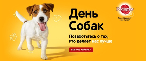 Акция Pedigree: «День собак. Позаботьтесь о тех, кто делает нас лучше!»