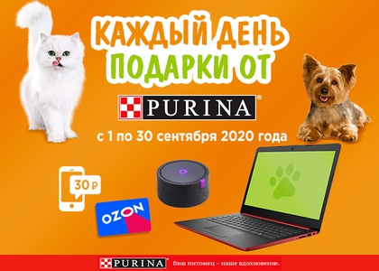 Акция  «Purina One» (Пурина Ван) «Каждый день подарки от Purina в сети магазинов «Монетка»