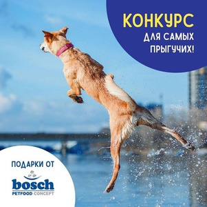 Конкурс Bosch Pet: «Конкурс для самых прыгучих!»