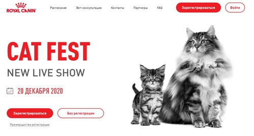 Акция Royal Canin: «CAT FEST NEW LIVE SHOW»