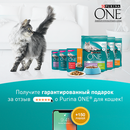 Акция Purina One: «Purina One - Irecommend, Otzovik, Petshop, Market.Yandex, Wildberries»