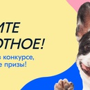 Акция  «Ozon.ru» (Озон.ру) «Почешите ЖИВОТное»