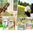 Акция Purina Cat Chow/Dog Chow и Woop: «Разумный выбор для их особых потребностей»