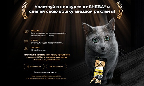 Акция  «Sheba» (Шеба) «Герой Sheba Creamy»