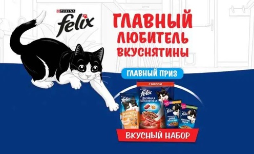 Акция  «Felix» (Феликс) «Felix в клубе заботливых хозяев «pro.питомцев» в сети Магнит»