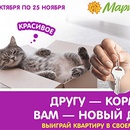 Акция  «Мария-РА» «Котику и собачке по крутой тачке 2»