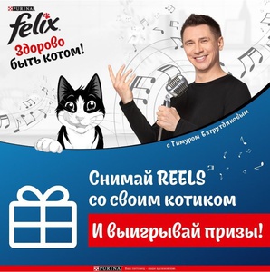 Акция Felix: «Здорово быть котом с Феликс!»