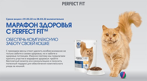 Акция  «Perfect Fit» (Перфект Фит) «День кошек. Марафон здоровья»