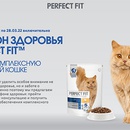 Акция  «Perfect Fit» (Перфект Фит) «День кошек. Марафон здоровья»
