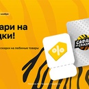 Акция магазина «Магнит» (www.magnit-info.ru) «Сафари на скидки»