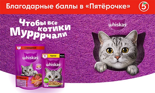 Акция  «Whiskas» (Вискас) «День кошек в Пятёрочке»