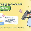 PLAY-БАТЛ: Покажи, на что ты способен и получи крутые призы от Play with Royal Forest!