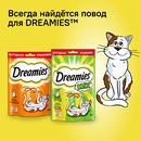 Акция  «Dreamies» (Дримис) «Всегда найдётся повод для Dreamies™ в Клубе Pro.питомцев»