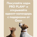 Акция  «Pro Plan» (Про План) «Адвент-календарь» от Pro Plan и Ozon.ru
