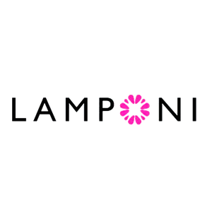 Акция Lamponi, Wildberries: «Розыгрыш от Lamponi»