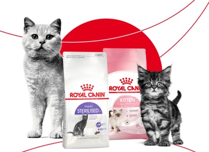 Акция Ozon и Royal Canin: «ROYAL CANIN. Самое важное – здоровье»