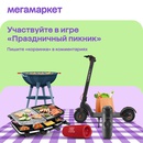 Конкурс МегаМаркет и Вконтакте: «Праздничный пикник»