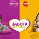 Акция WHISKAS и PEDIGREE: «Забота сближает»