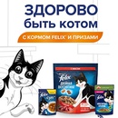 Акция  «Felix» (Феликс) «Здорово быть котом!»