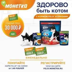 Акция «Здорово быть котом с кормом Felix!» в Монетке