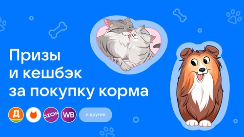 Акция  «Purina One» (Пурина Ван) «Акция в сервисе VK Чекбэк: Категория корма для животных»