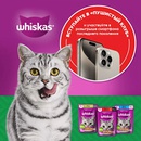 Акция  «Whiskas» (Вискас) «Сколько вкусов -столько муррр! Удовольствие до мурашек в «Пятерочке»