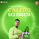 Акция  «Garnier» (Гарньер) «С NILETTO без пакета»