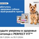 Акция Perfect Fit и Магнит: «Будьте уверены в здоровье питомца с Perfect Fit»